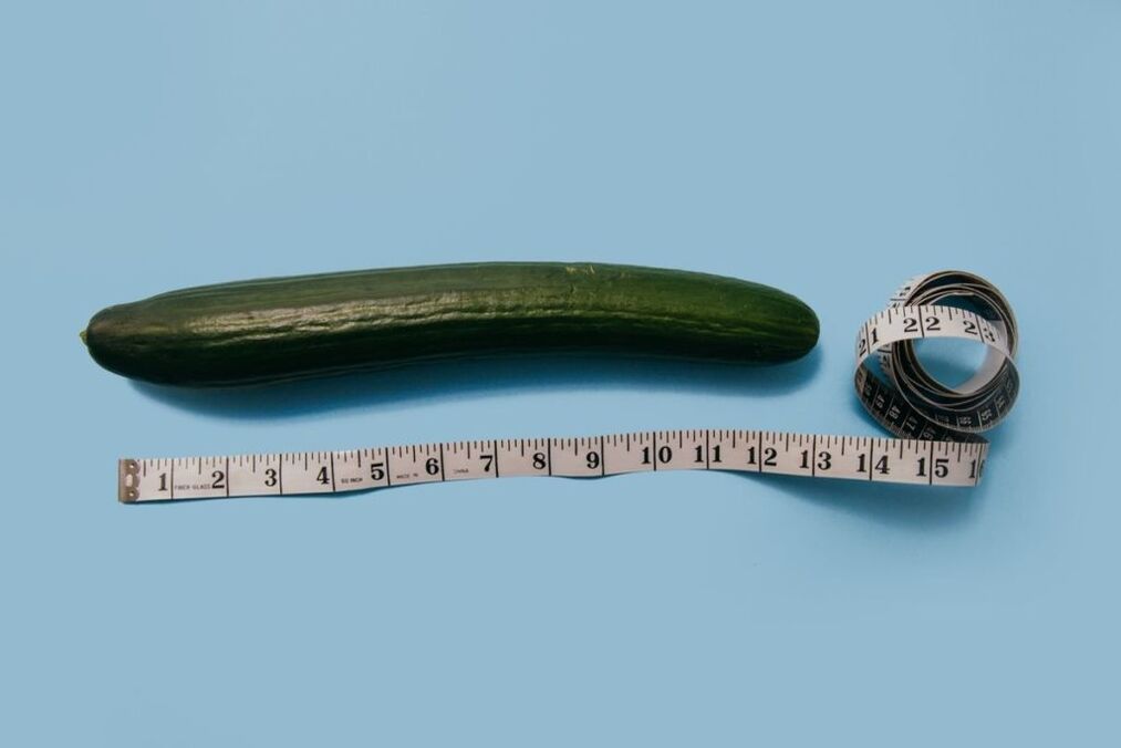 Measuring the size of the penis with the example of cucumber