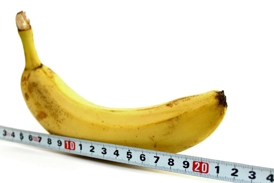 The size of the penis in the example of banana